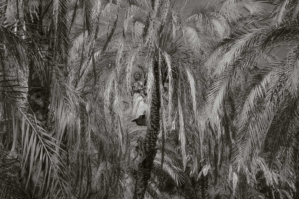 Jean-Luc Billet Photographies