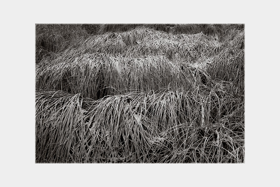 Jean-Luc Billet Photographies