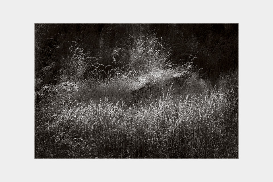 Jean-Luc Billet Photographies