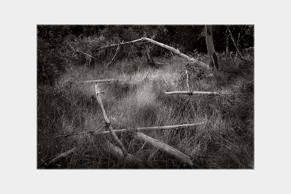 Jean-Luc Billet Photographies