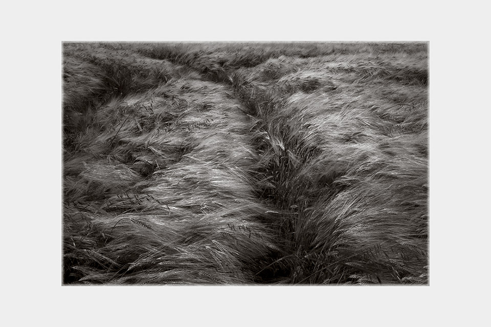 Jean-Luc Billet Photographies