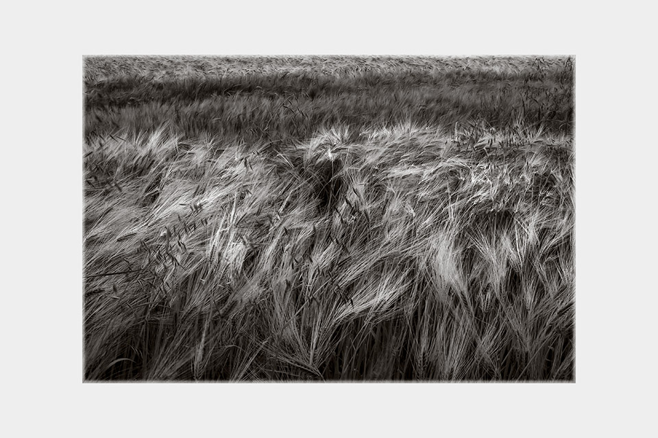 Jean-Luc Billet Photographies