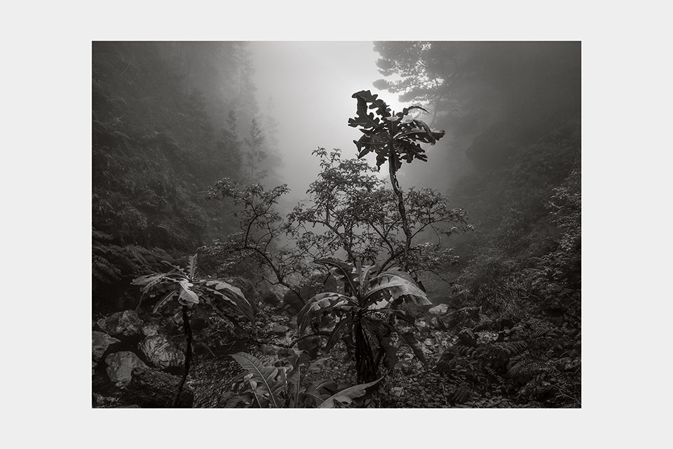 Jean-Luc Billet Photographies