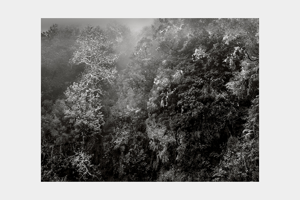 Jean-Luc Billet Photographies