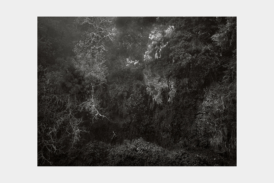 Jean-Luc Billet Photographies