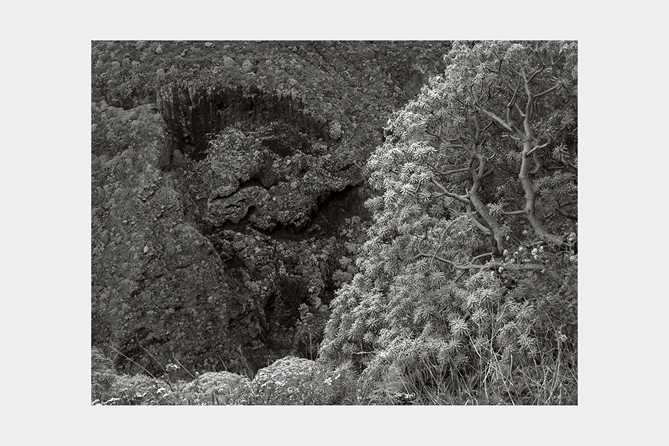 Jean-Luc Billet Photographies