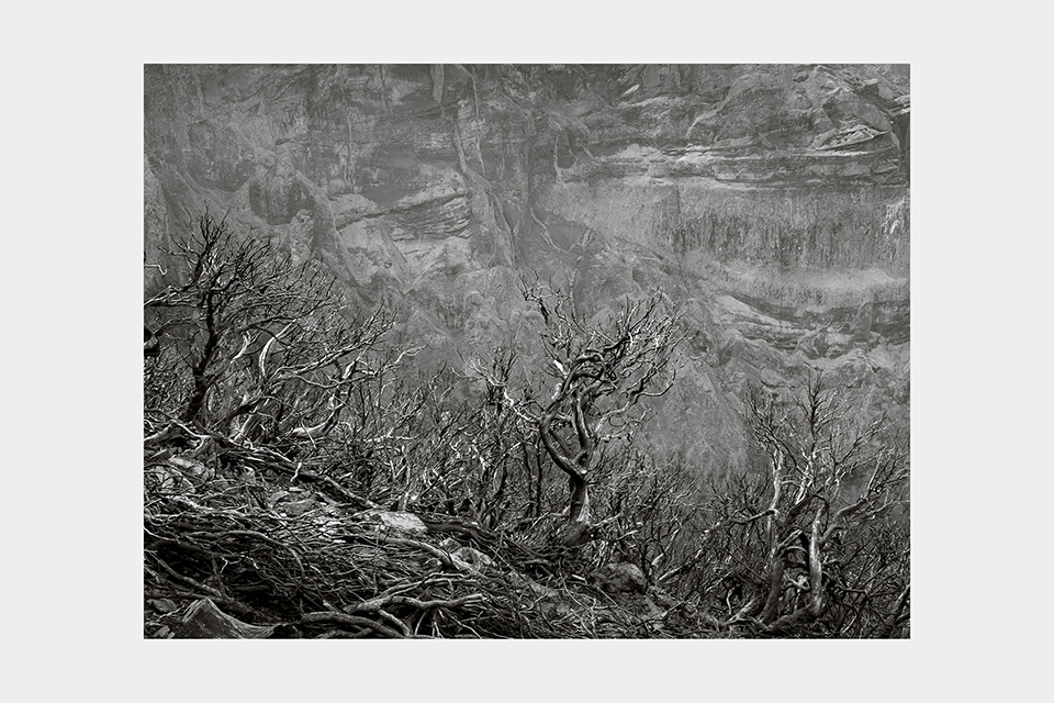 Jean-Luc Billet Photographies