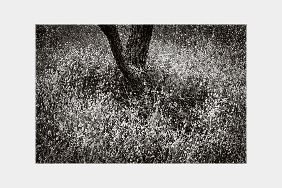 Jean-Luc Billet Photographies