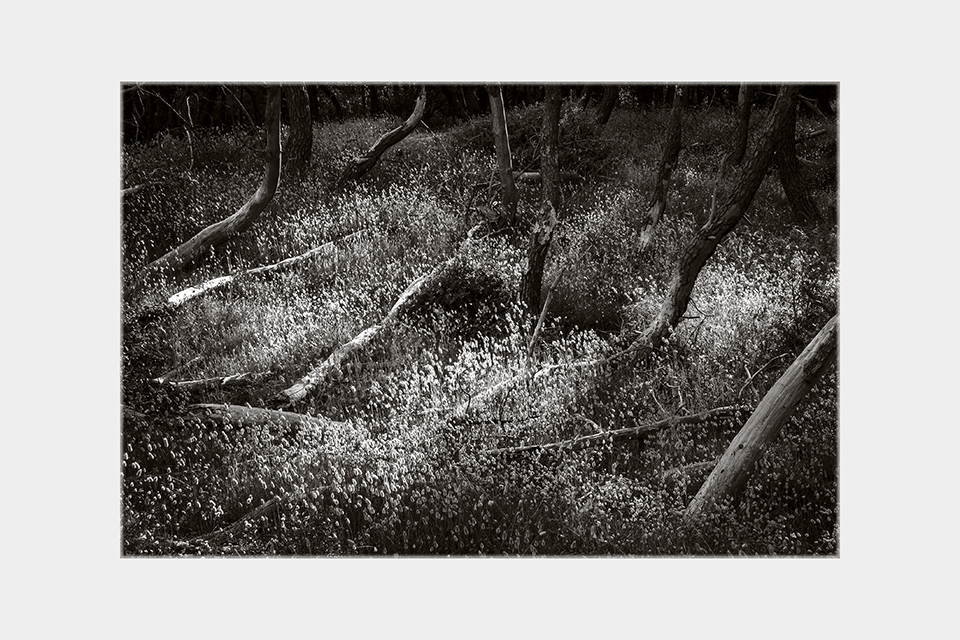 Jean-Luc Billet Photographies