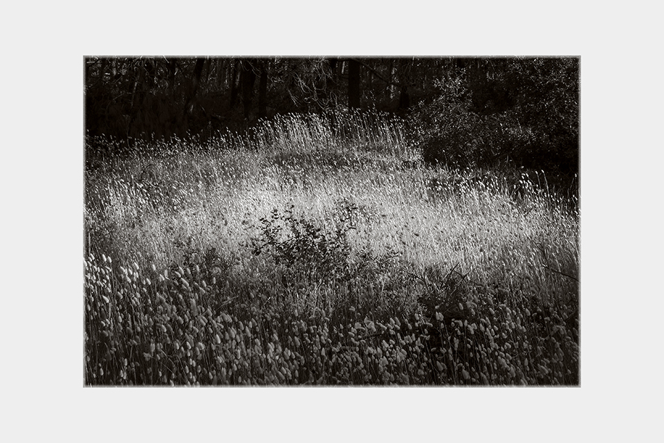 Jean-Luc Billet Photographies