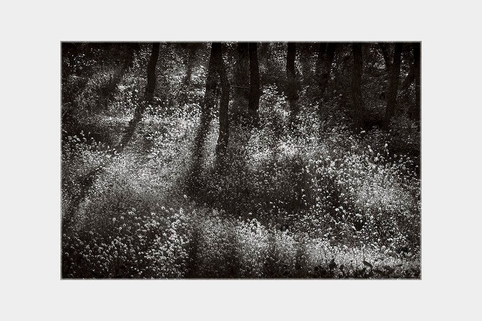 Jean-Luc Billet Photographies