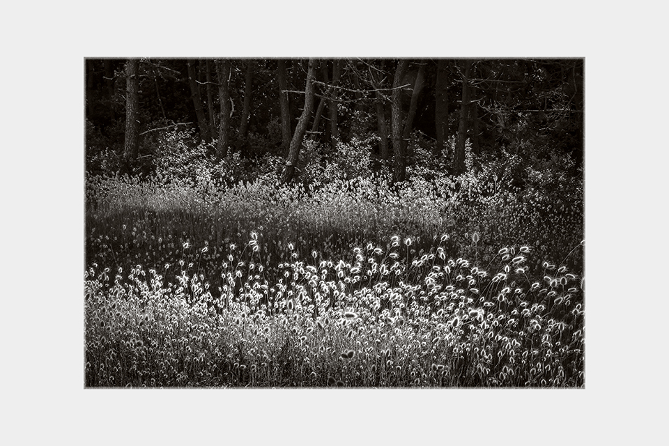 Jean-Luc Billet Photographies