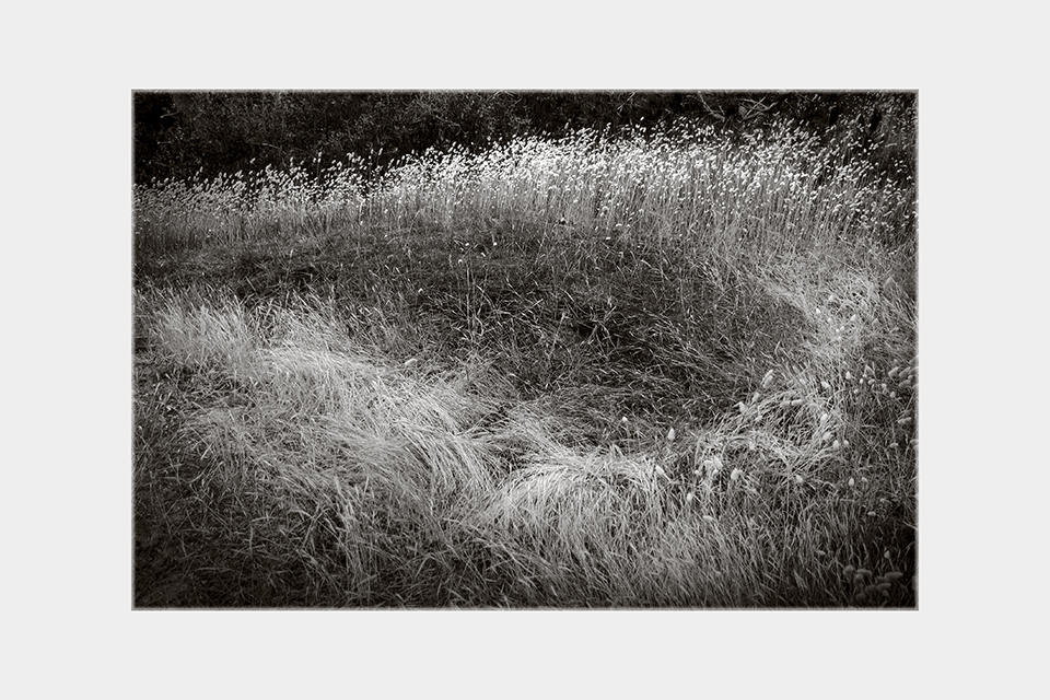 Jean-Luc Billet Photographies