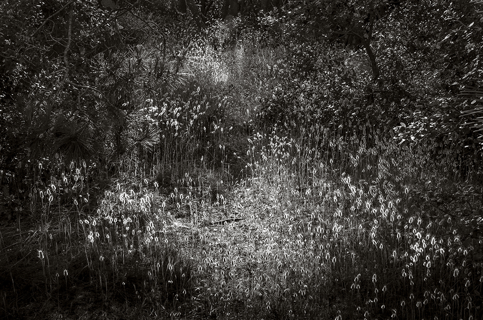 Jean-Luc Billet Photographies