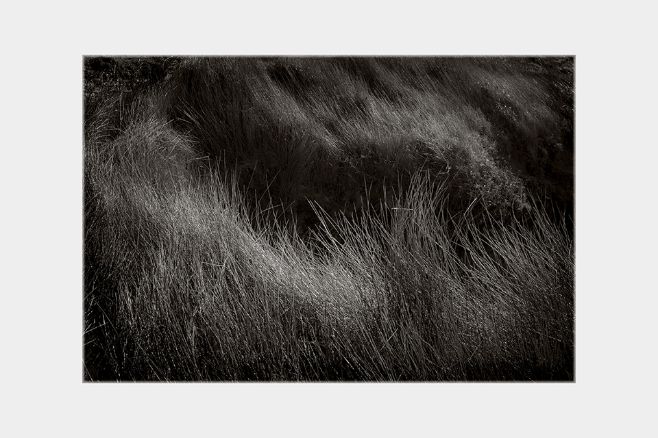 Jean-Luc Billet Photographies