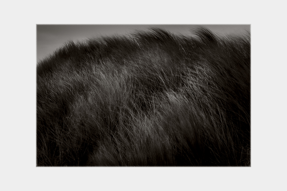 Jean-Luc Billet Photographies