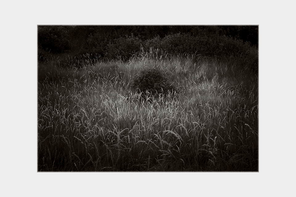 Jean-Luc Billet Photographies