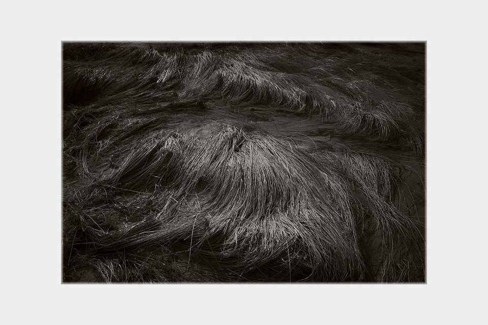 Jean-Luc Billet Photographies