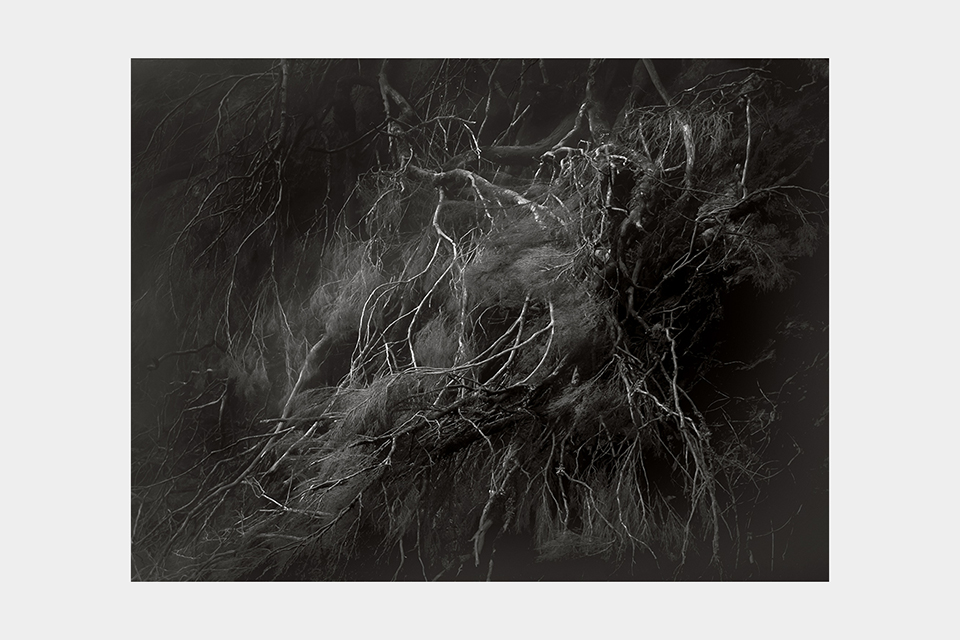 Jean-Luc Billet Photographies