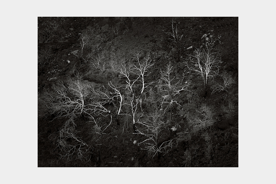 Jean-Luc Billet Photographies