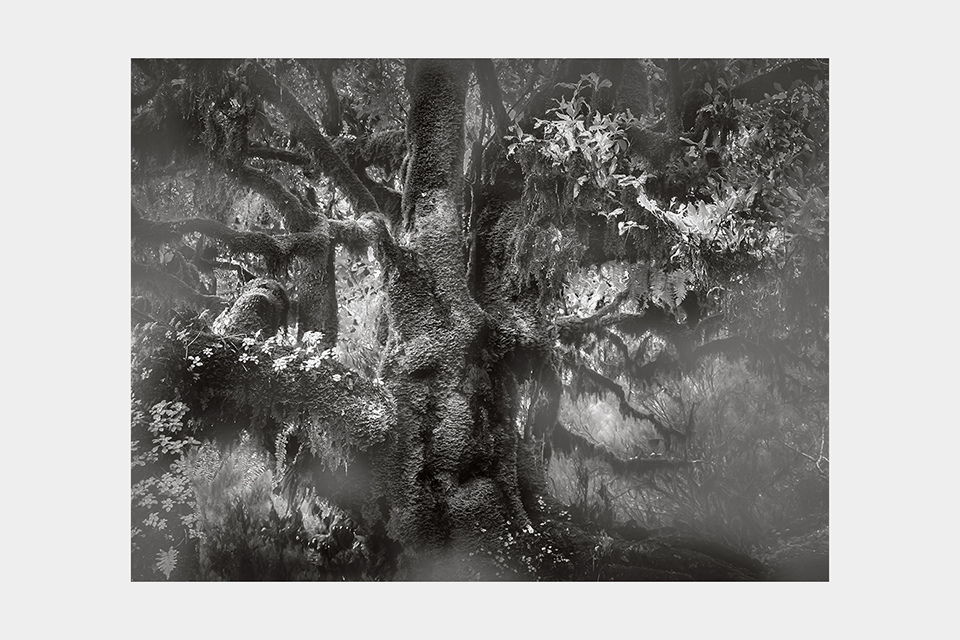 Jean-Luc Billet Photographies